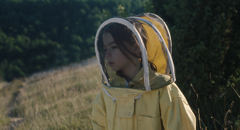 20 000 ESPECES D ABEILLES